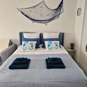  Appartement Grand Le Lagon Avec Ascenseur